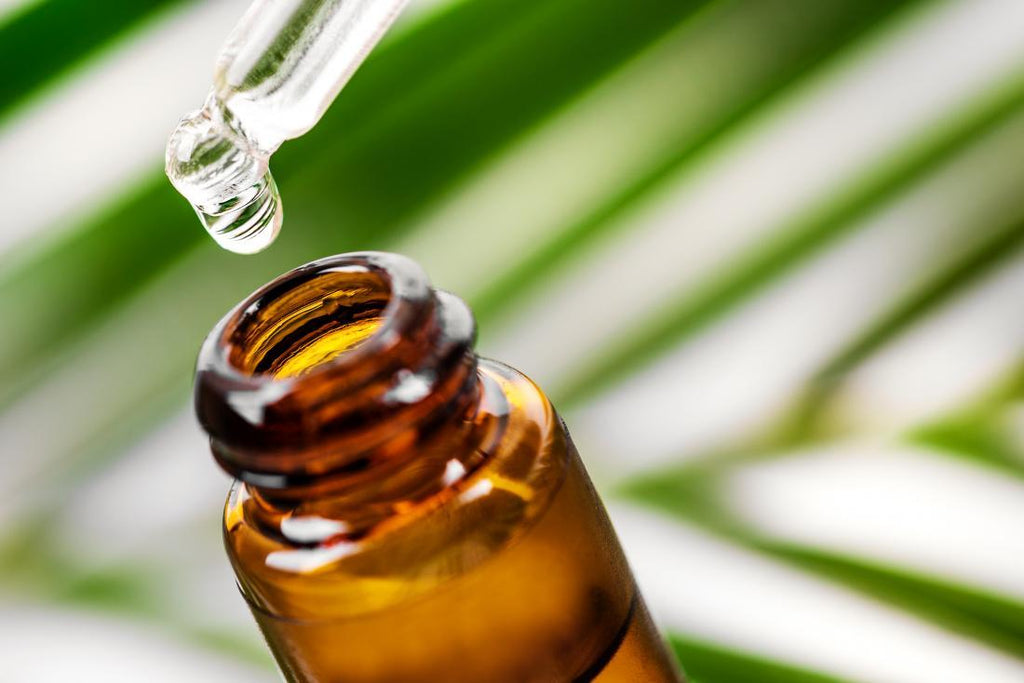 The Ocular Benefits of Tea Tree Oil